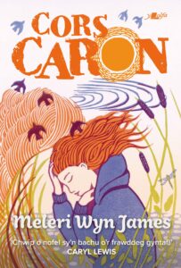 Cover image of Cors Caron