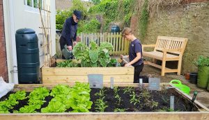 Garden at Usk Community Hub